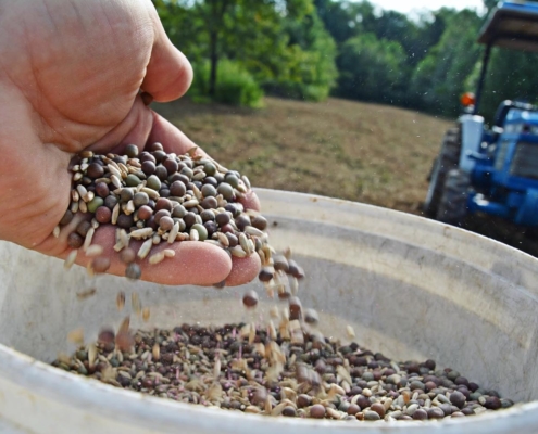deergro when to plant fall food plots